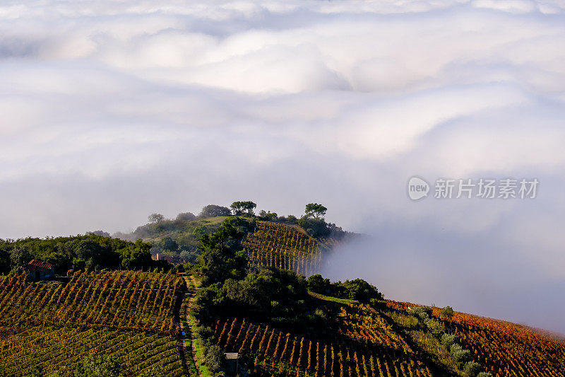 São Leonardo da Galafura在杜洛山谷的视角，雾使你看不到杜洛河